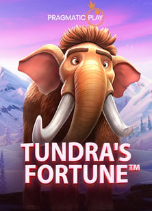 ดาวน์โหลด joker android เล่นเกมง่ายๆ กับ CQ9